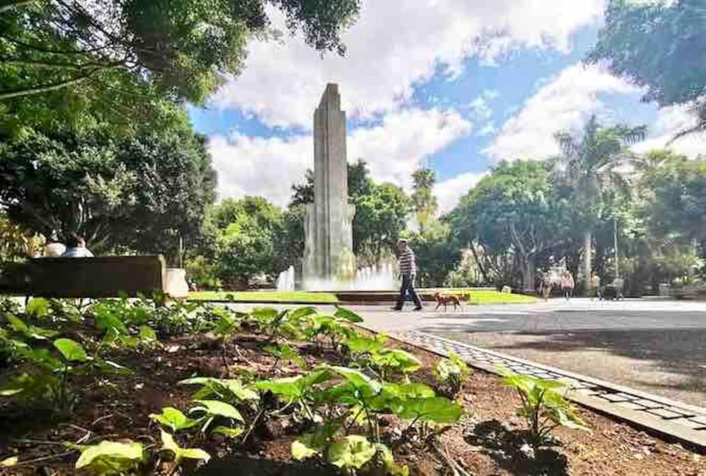 サンタクルスデテネリフェAtico Centro De Sc, Vistas, Aire Acondicionado!!!アパートメント エクステリア 写真
